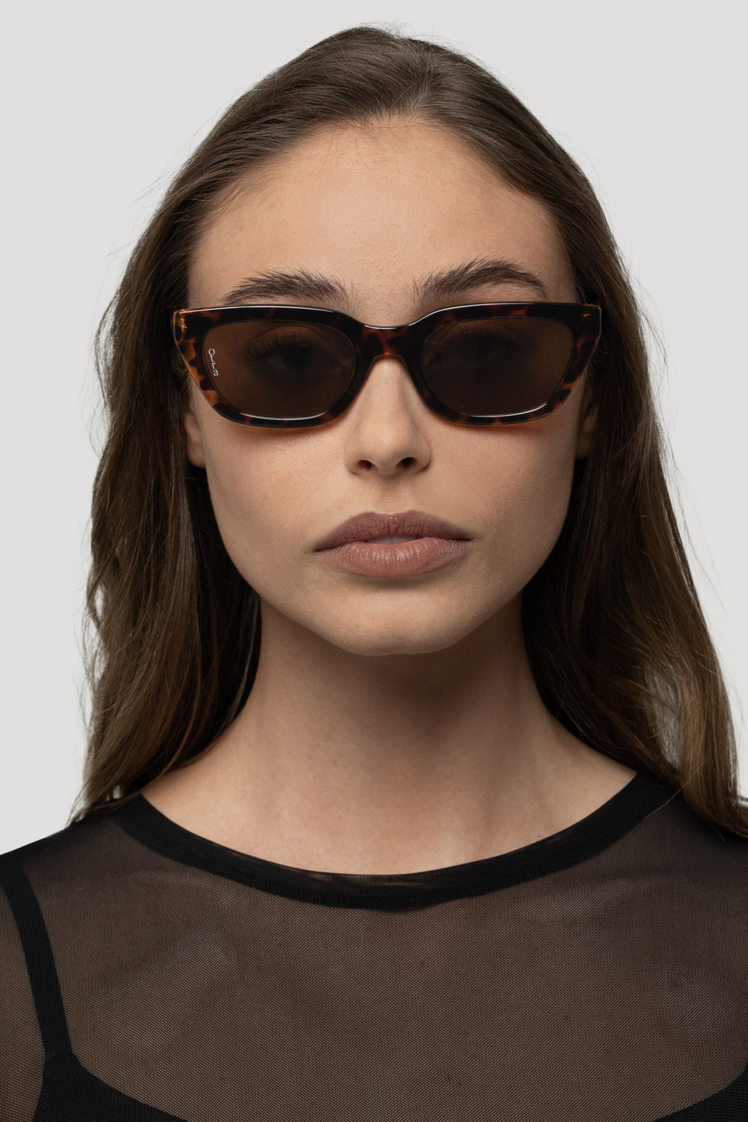 Nove Tort/Brown