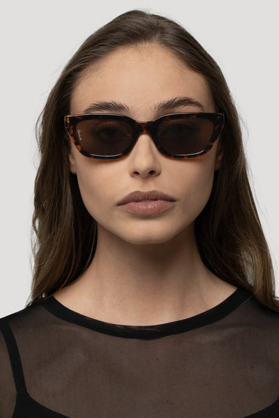Nove Tort/Brown