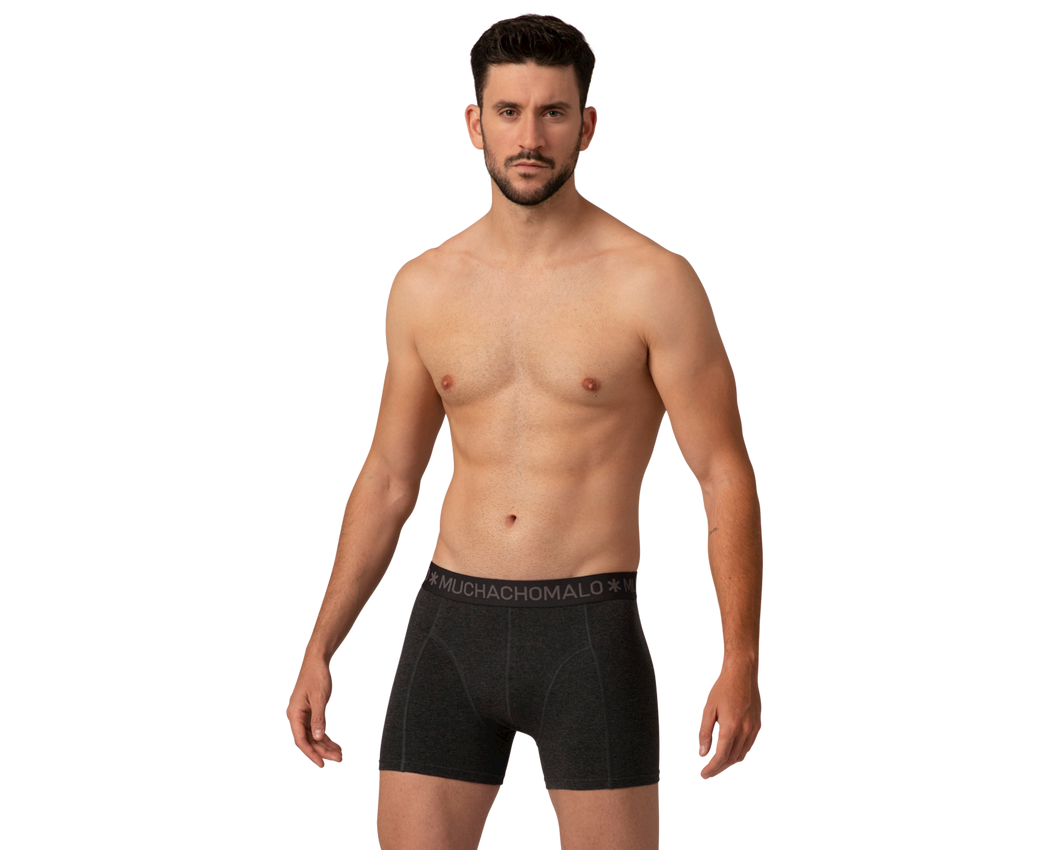 Boxer 2-PK