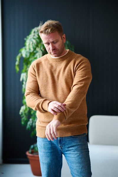 Rai LS Knit Crew Neck Chipmunk