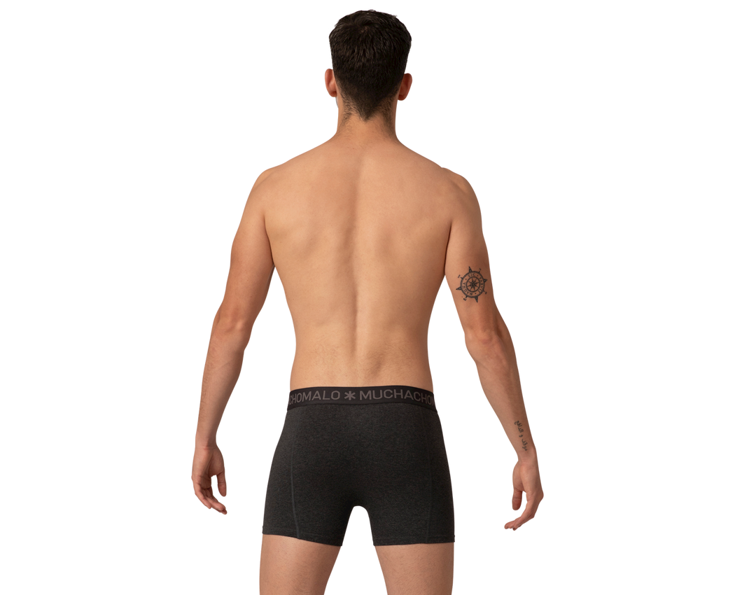 Boxer 2-PK