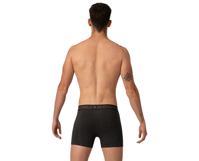 Boxer 2-PK