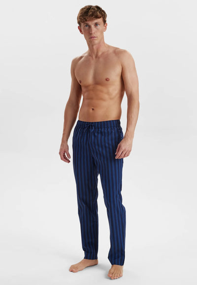 JBS of DK Woven Pant - Blue Stripe