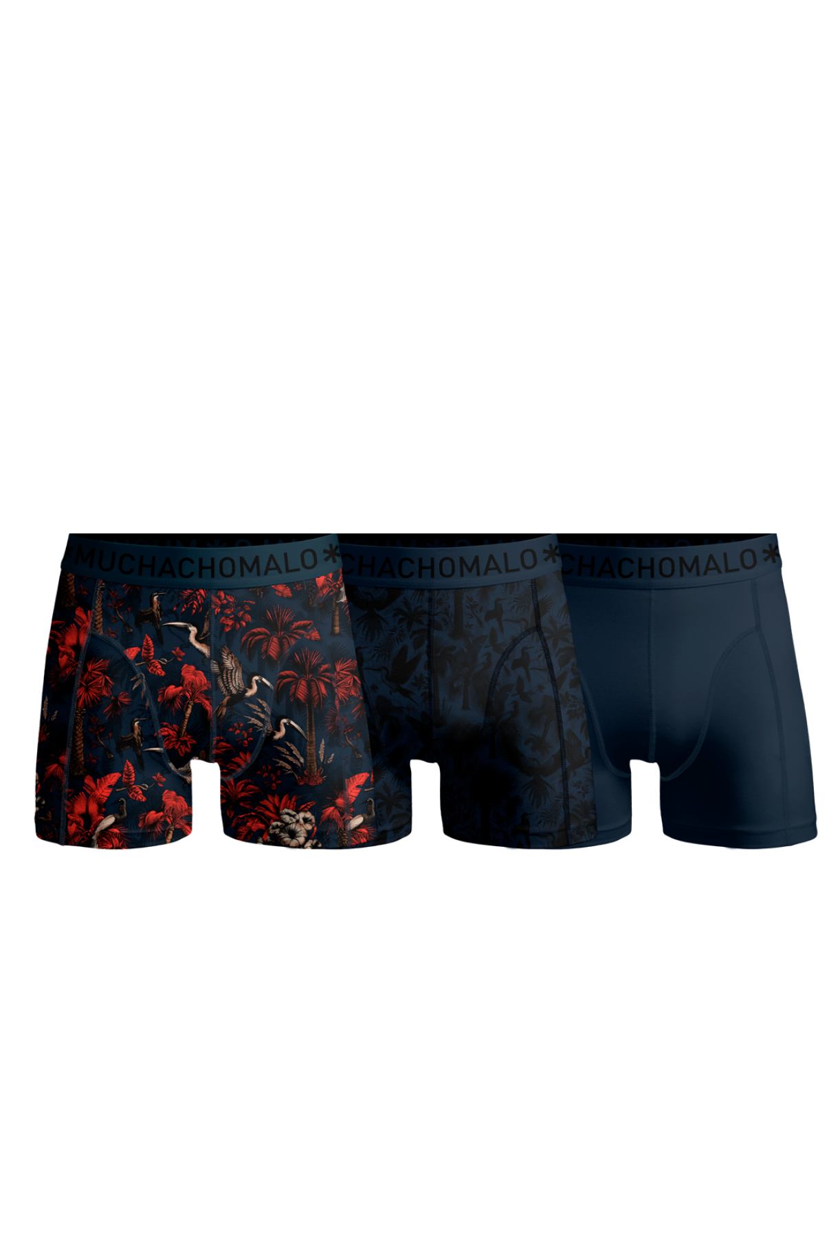 3pk Boxer - Palm Birds