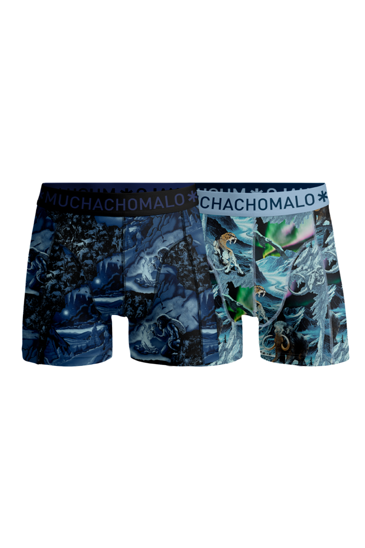 2pk Boxer - Prehistory