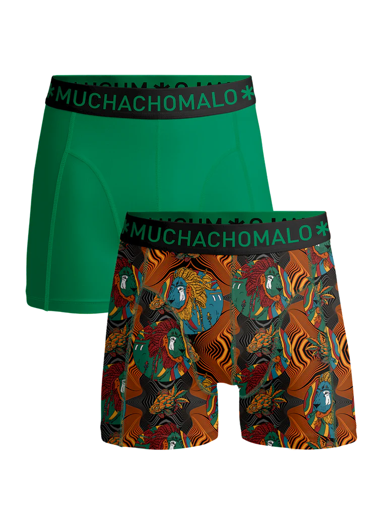 2pk Boxer - Rastafarian