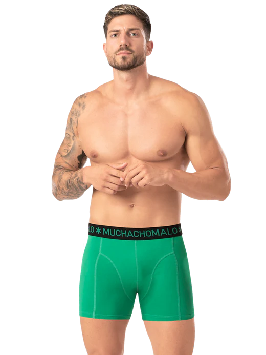 2pk Boxer - Rastafarian