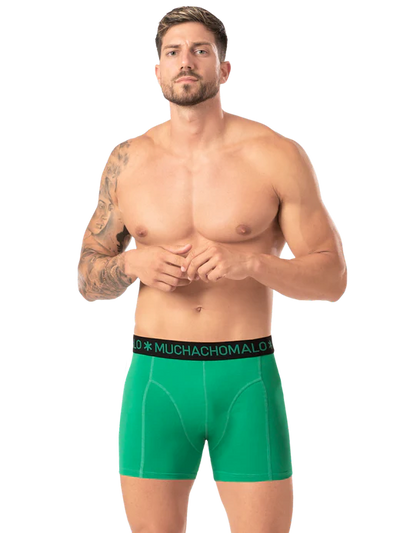 2pk Boxer - Rastafarian