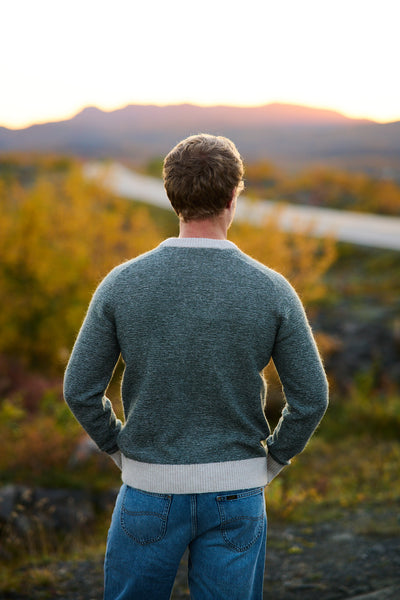 Rai LS Knit Crew Neck - Deep Forest/Ministripe