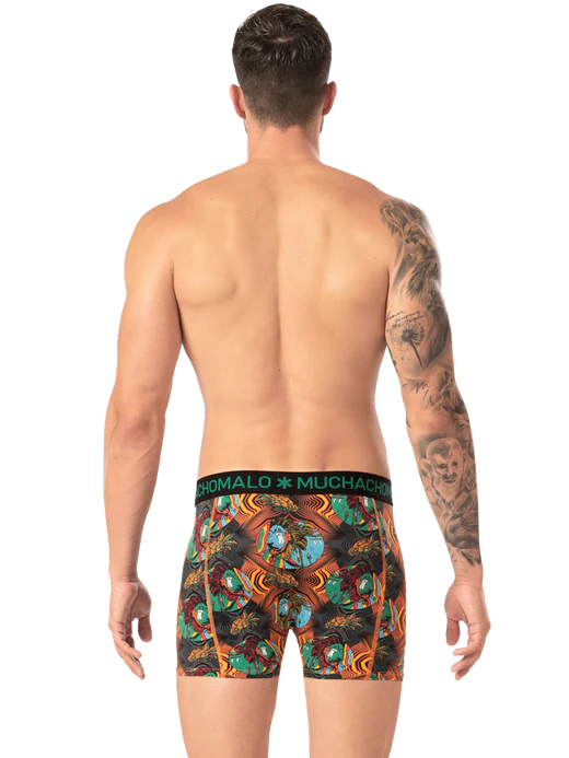 2pk Boxer - Rastafarian