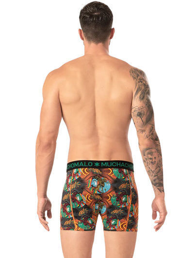 2pk Boxer - Rastafarian
