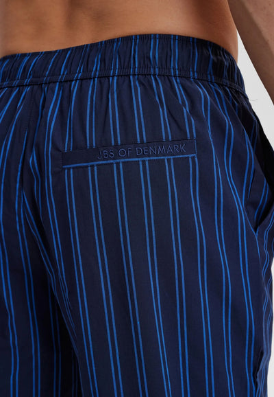 JBS of DK Woven Pant - Blue Stripe