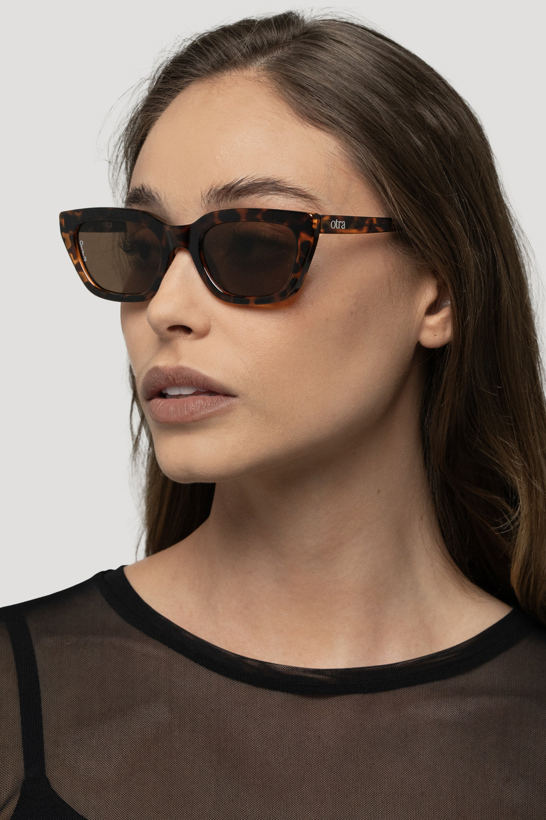 Nove Tort/Brown
