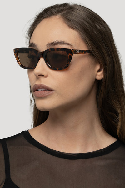 Nove Tort/Brown