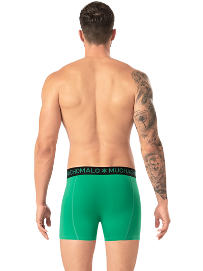 2pk Boxer - Rastafarian