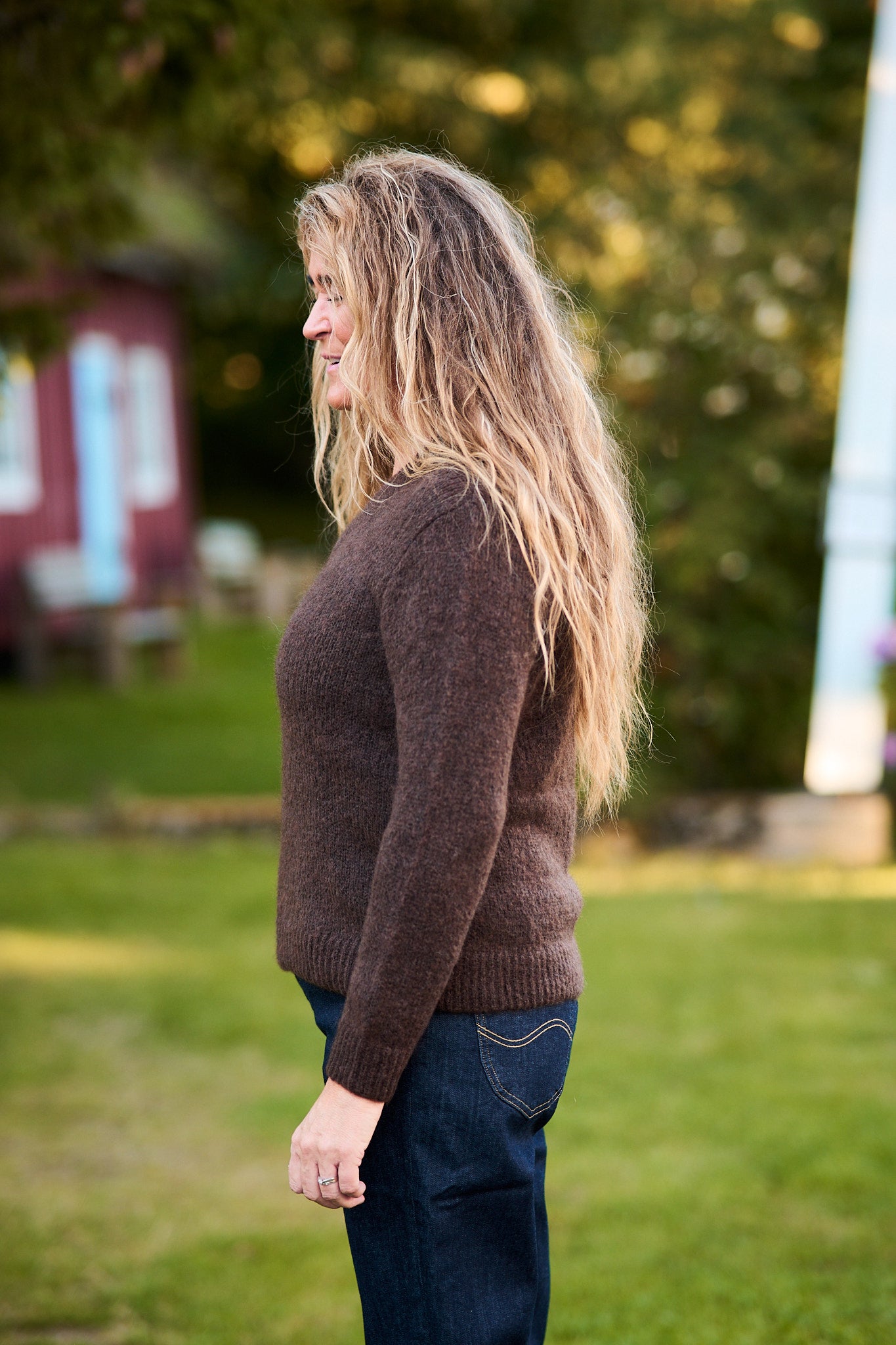 Noreen 3 - Brun
