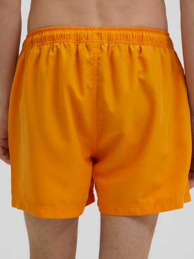 Classic Colour Swim Shorts